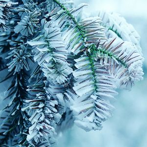 白丝魅魔玉足奶交
